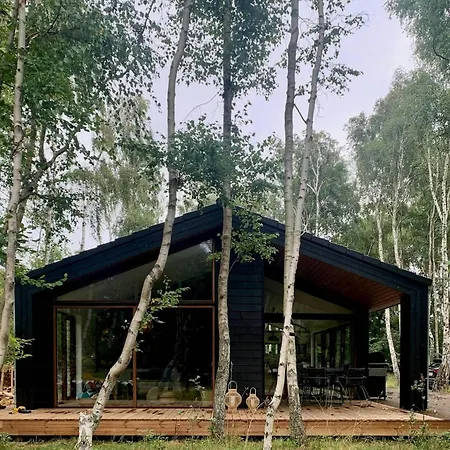 Modern Among Old Trees In Odden
