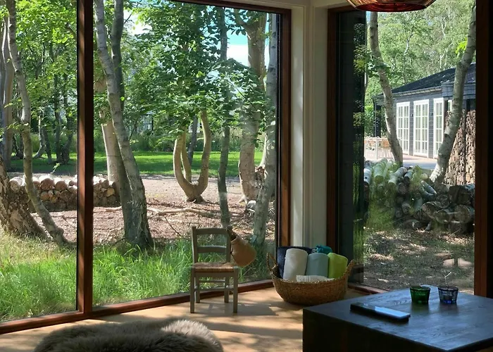 Modern Among Old Trees In Odden