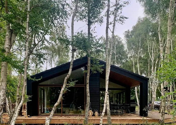 Modern Among Old Trees In Odden