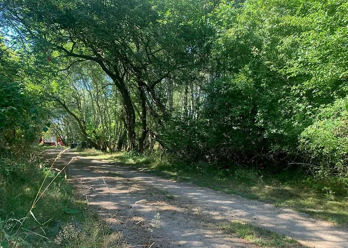Modern Among Old Trees In Odden Nyaraló Yderby