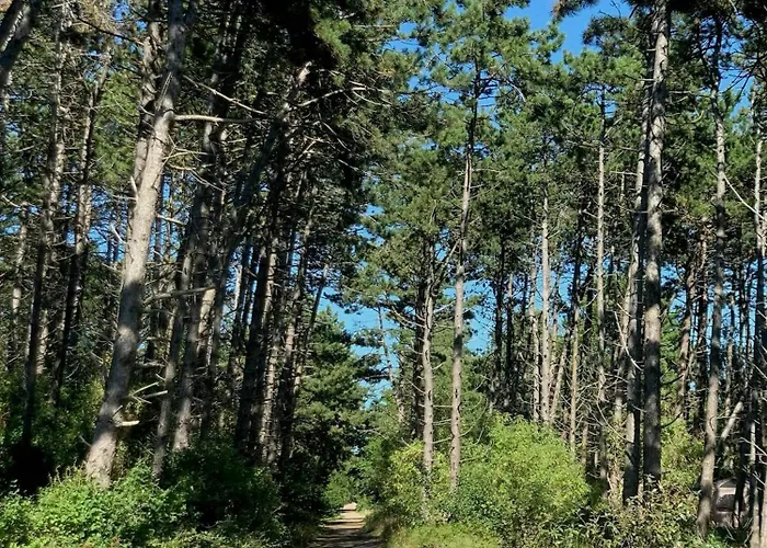 度假居 Modern Among Old Trees In Odden Yderby