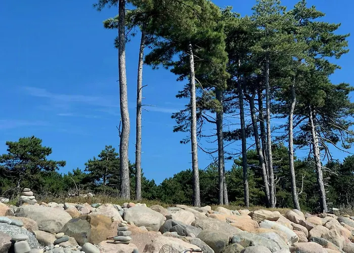 度假居 Modern Among Old Trees In Odden Yderby